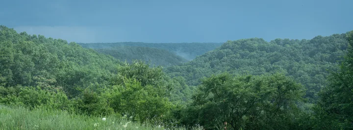 XPAN Landscape