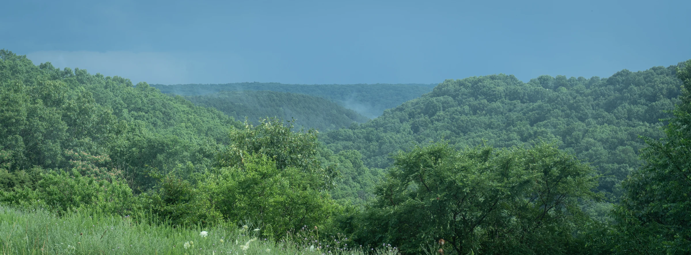 XPAN Landscape