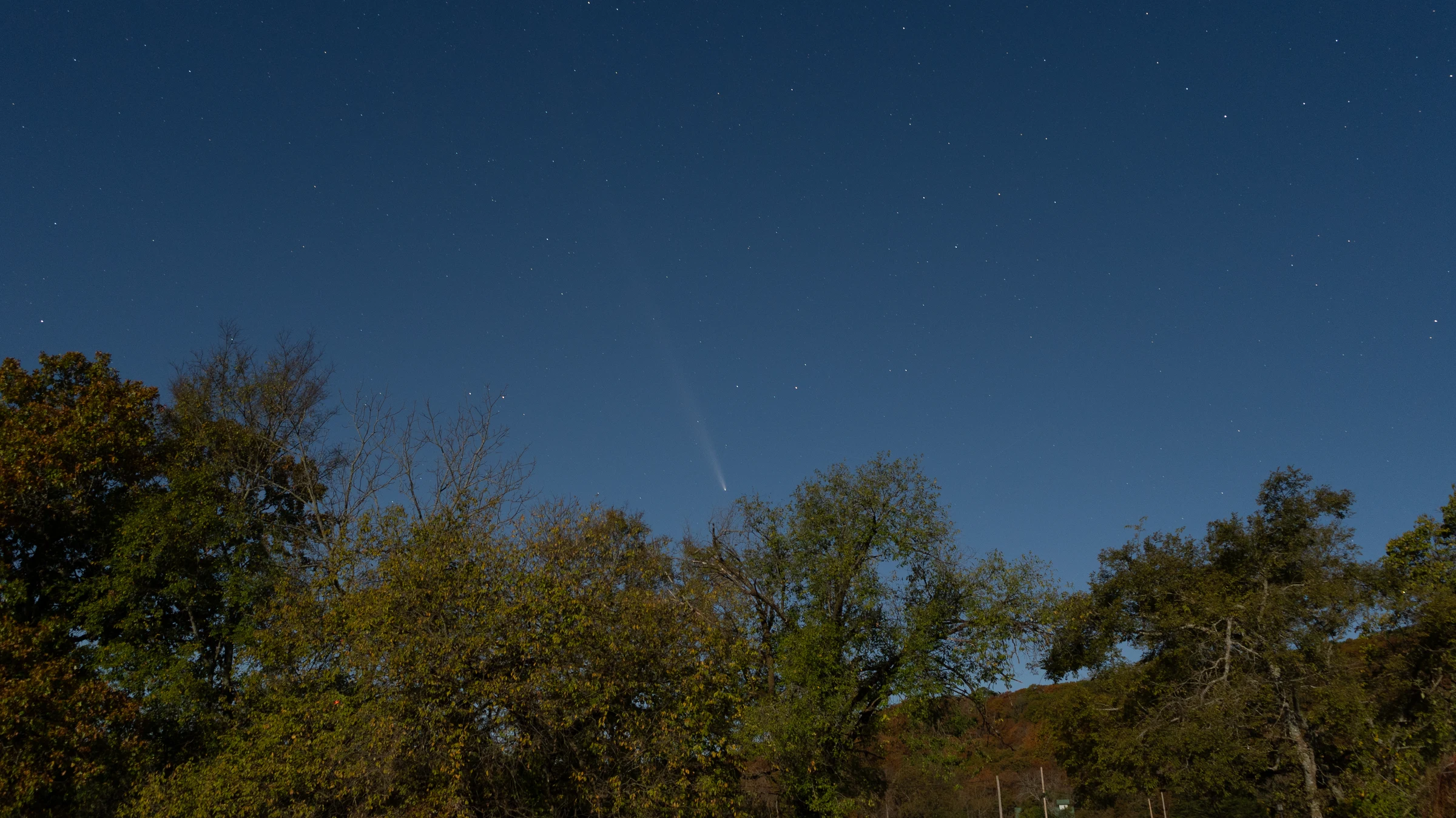 Comet