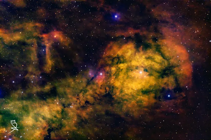 SH2 205